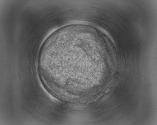 X0000080741007200701121932