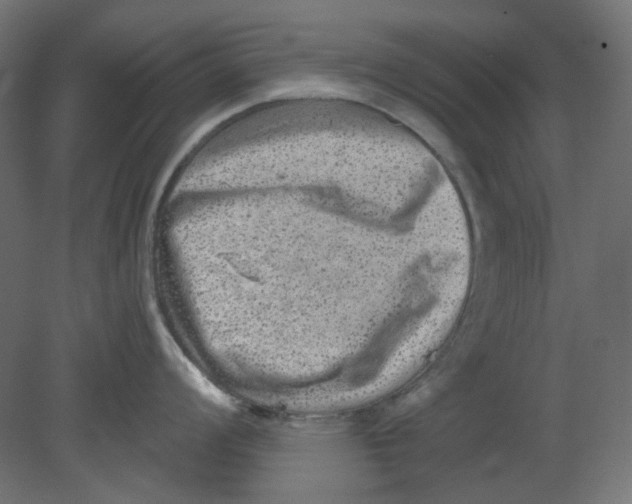 X0000080741008200701121932