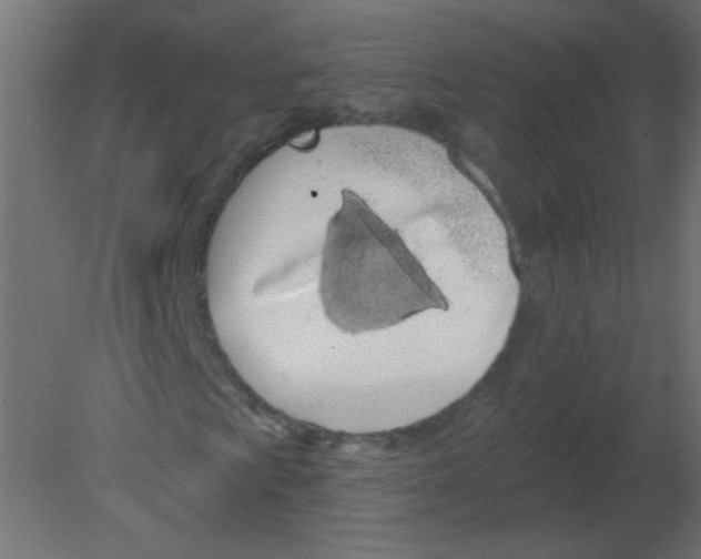 X0000080741009200701121931