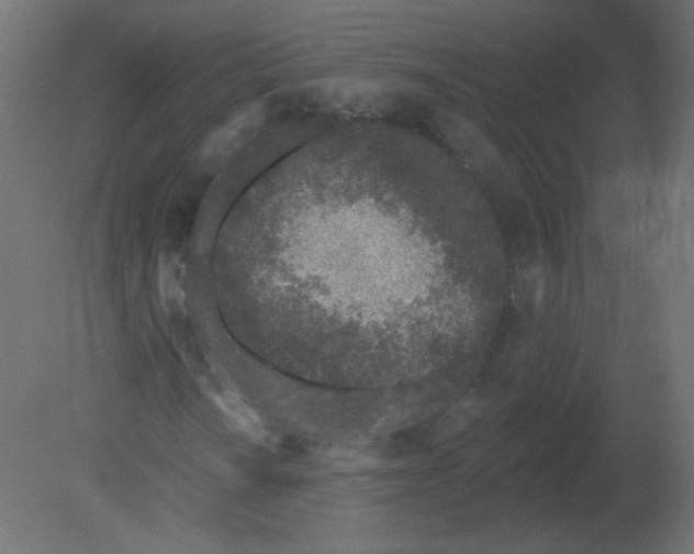 X0000080741010200701121931