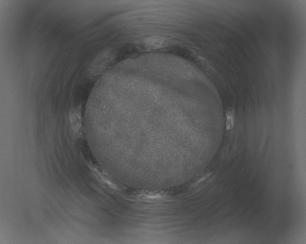 X0000080741011200701121931