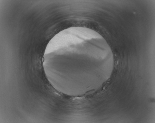 X0000080741013200701121931