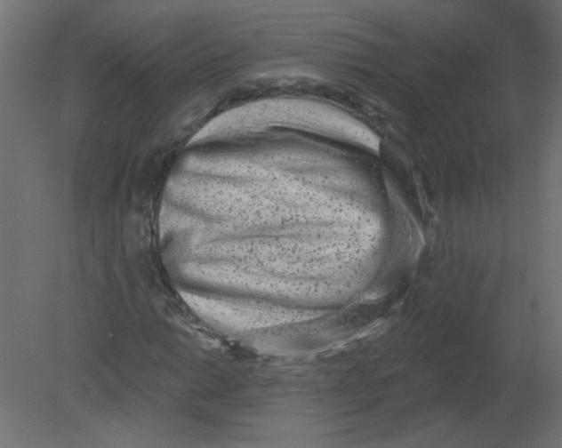 X0000080741014200701121931