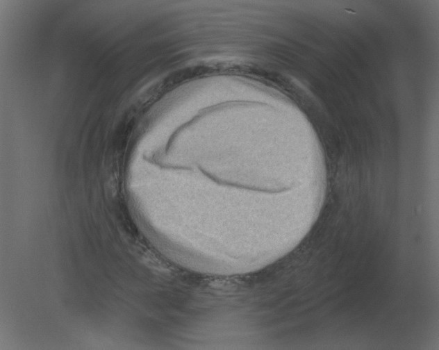 X0000080741015200701121931