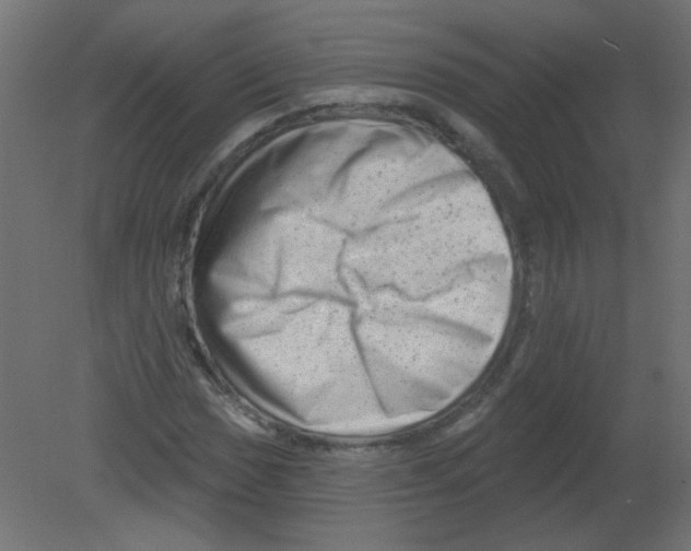 X0000080741017200701121931