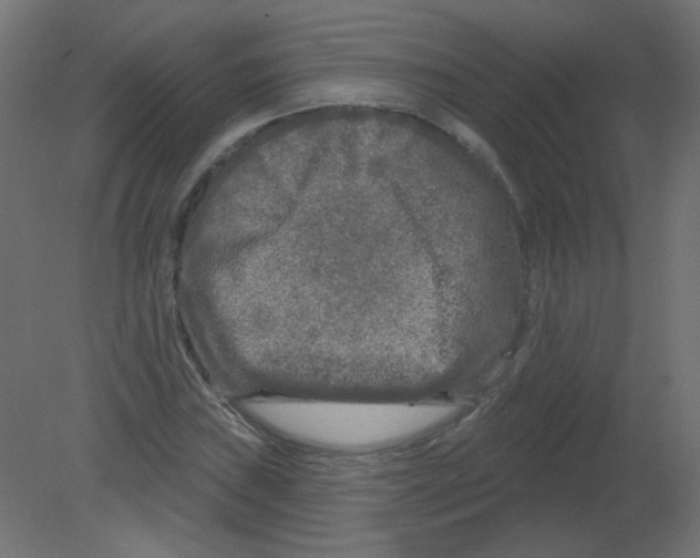 X0000080741019200701121931