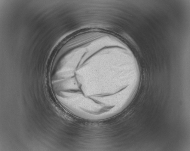 X0000080741020200701121931