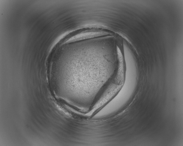 X0000080741022200701121931