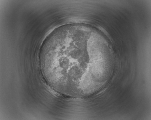 X0000080741023200701121931