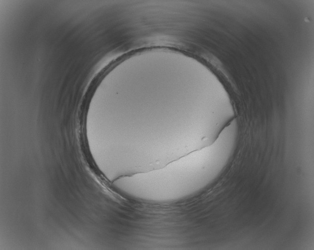 X0000080741024200701121931