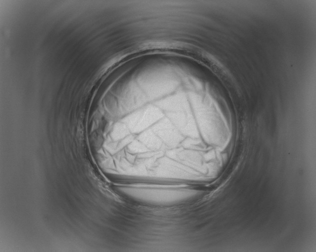 X0000080741025200701121931