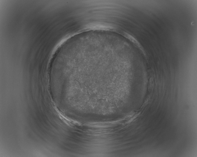 X0000080741027200701121931