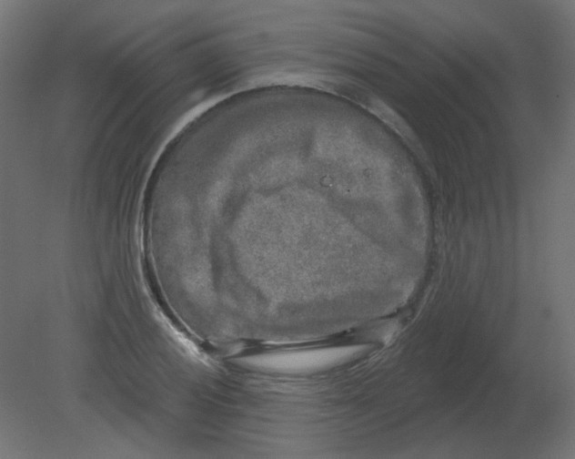 X0000080741028200701121931