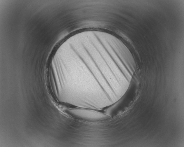 X0000080741029200701121931