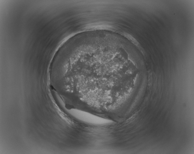 X0000080741031200701121931