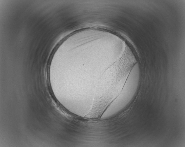 X0000080741032200701121931