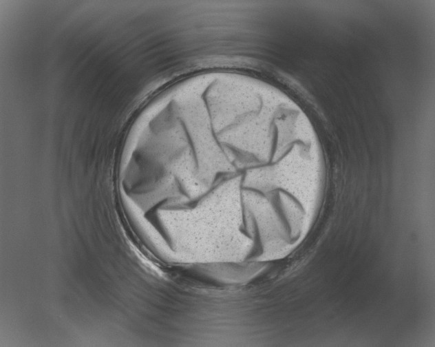 X0000080741033200701121931