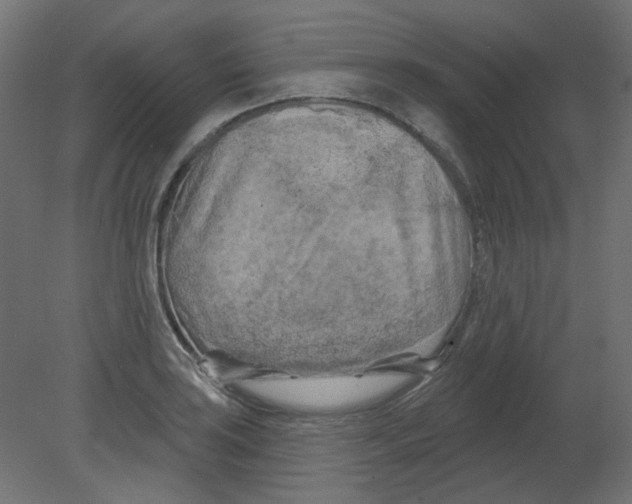 X0000080741035200701121931