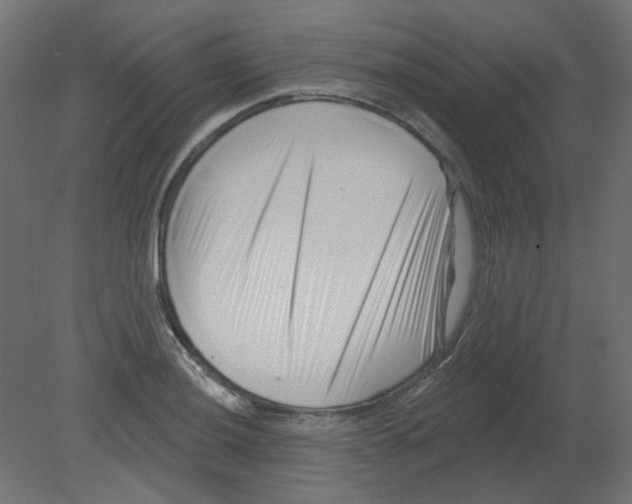 X0000080741036200701121931