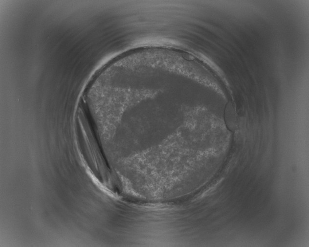 X0000080741037200701121931