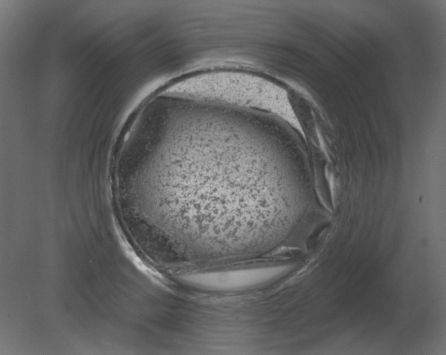 X0000080741038200701121931