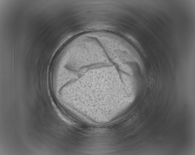 X0000080741039200701121931