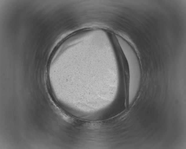 X0000080741040200701121931