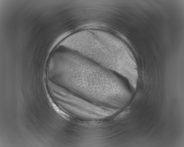 X0000080741042200701121931