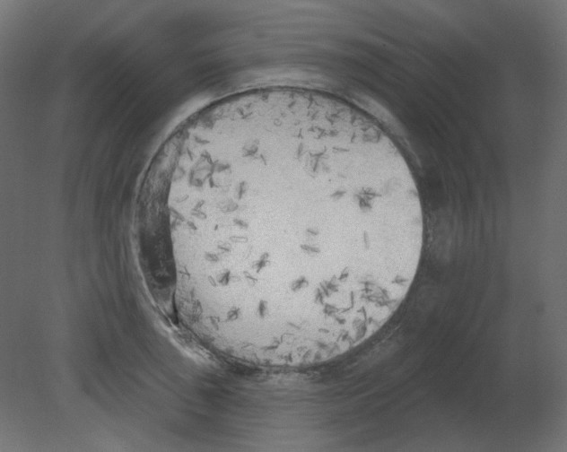 X0000080741043200701121931