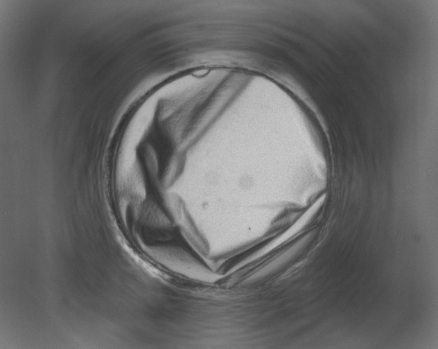 X0000080741045200701121931