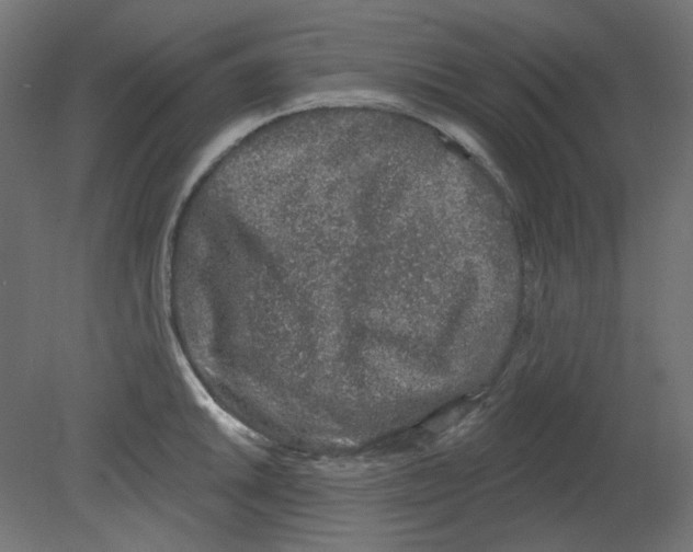 X0000080741046200701121931