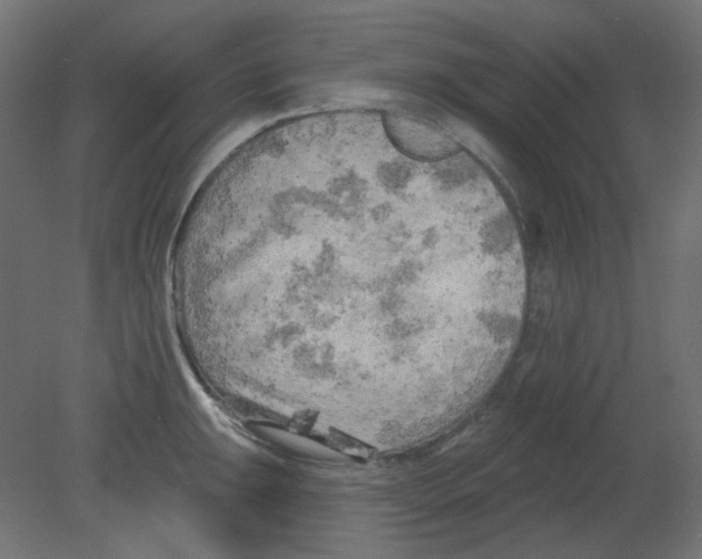 X0000080741047200701121931