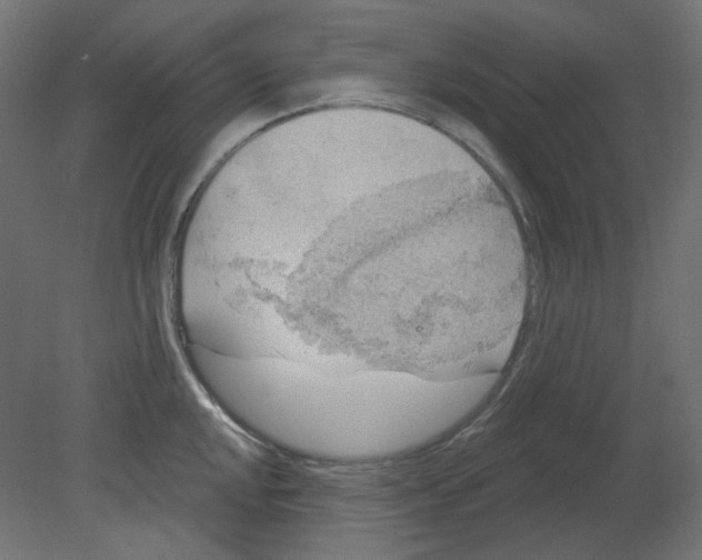 X0000080741048200701121931