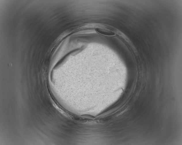 X0000080741049200701121931