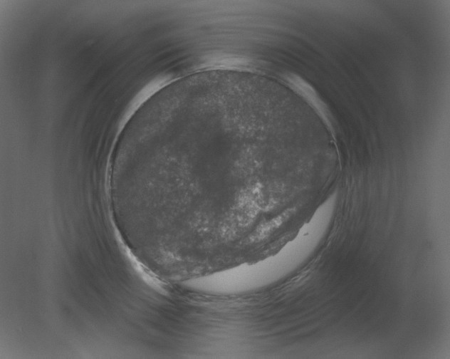 X0000080741050200701121931