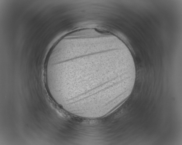 X0000080741051200701121931