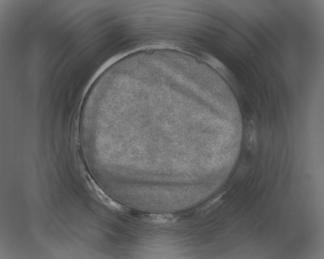 X0000080741052200701121932