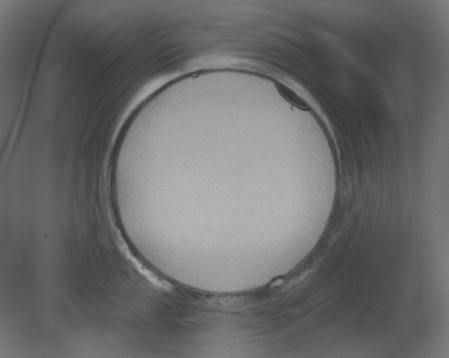 X0000080741053200701121932