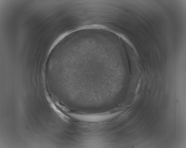 X0000080741054200701121932