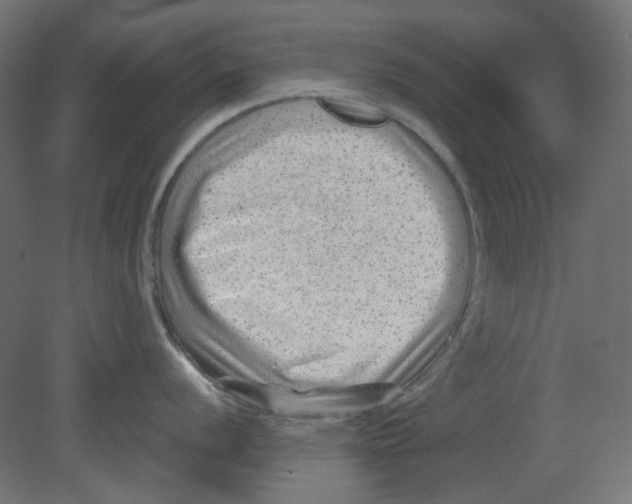 X0000080741056200701121932