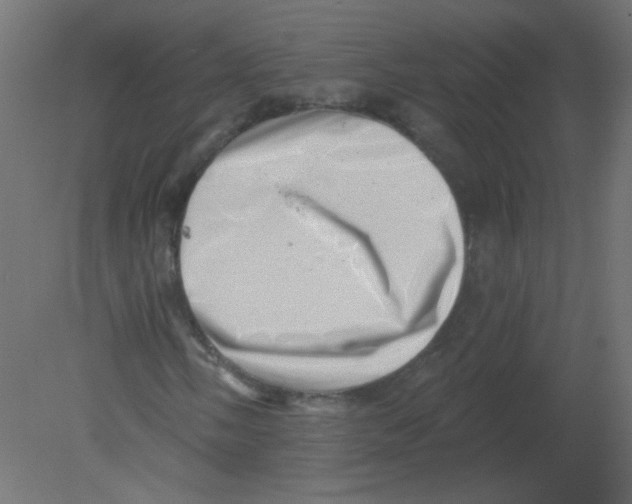 X0000080741058200701121931