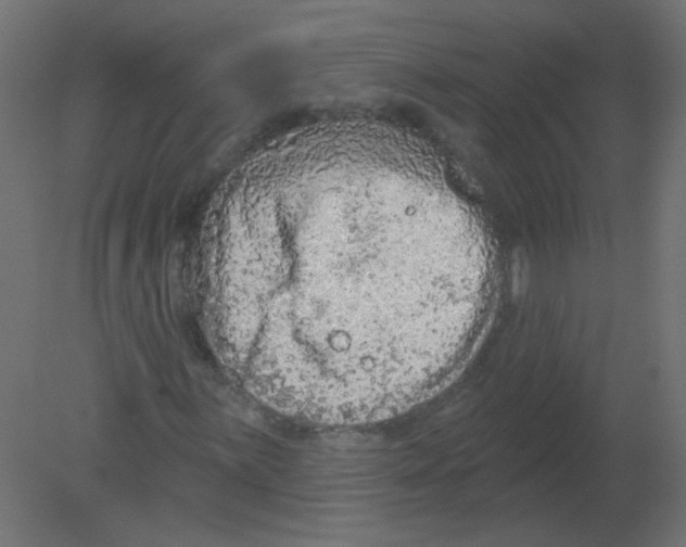 X0000080741059200701121931