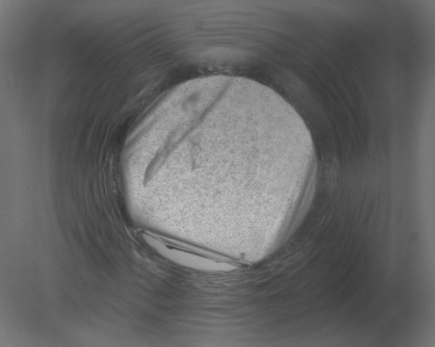 X0000080741060200701121931