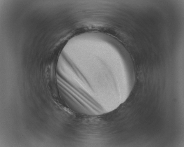 X0000080741061200701121931