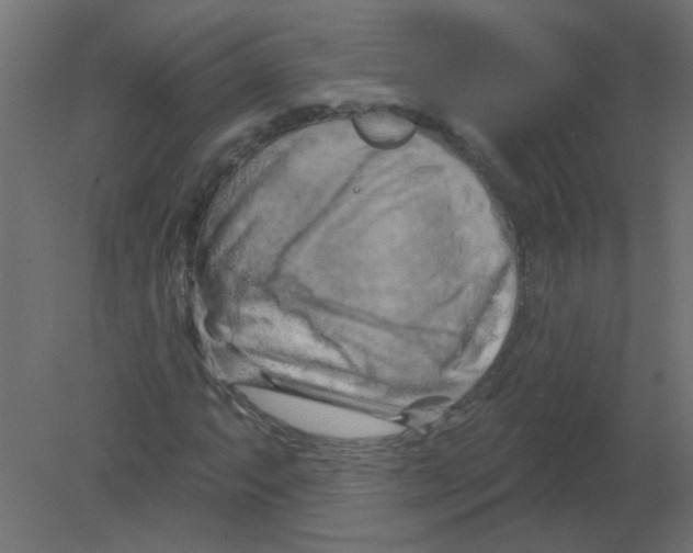 X0000080741063200701121931