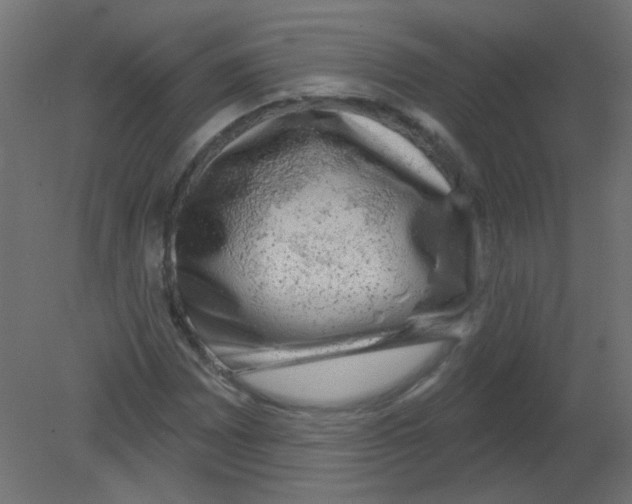 X0000080741065200701121931