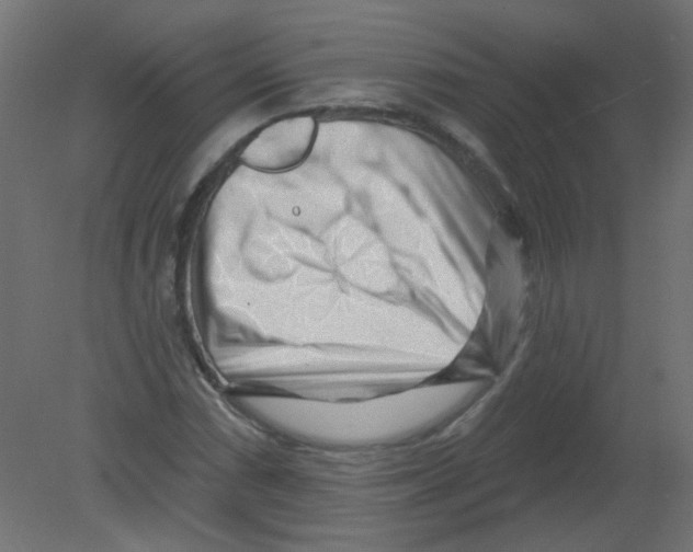 X0000080741066200701121931