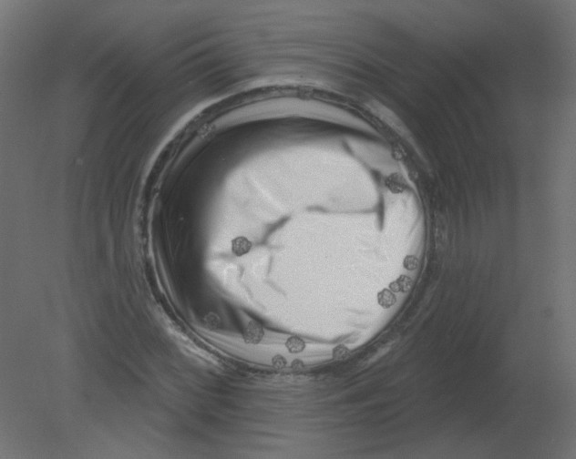 X0000080741068200701121931