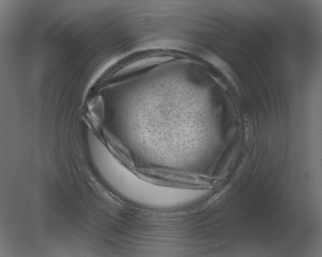 X0000080741069200701121931