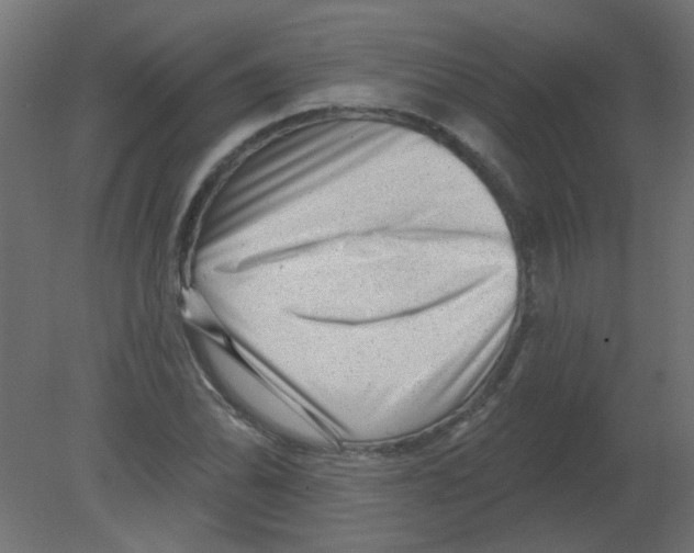 X0000080741070200701121931